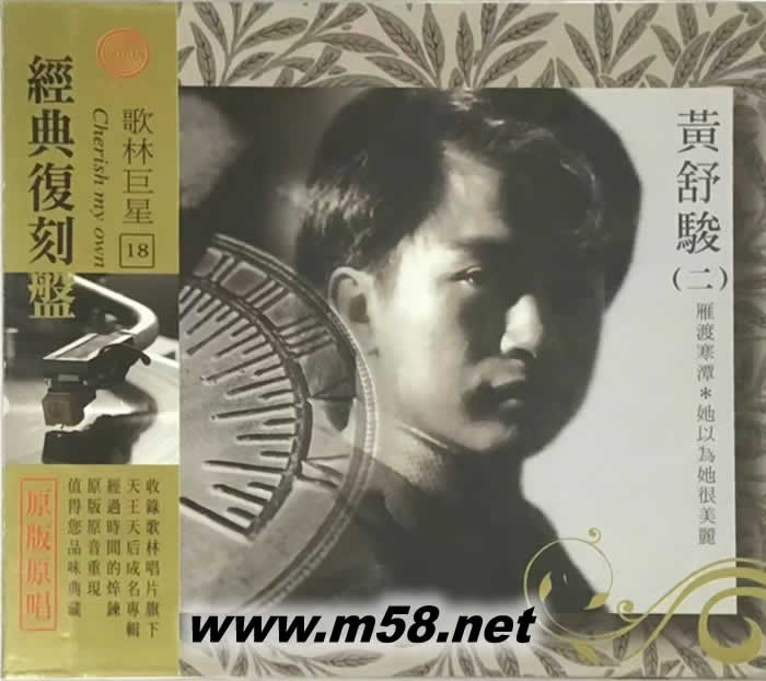 雁渡寒潭 她以為她很美麗專輯正面圖片