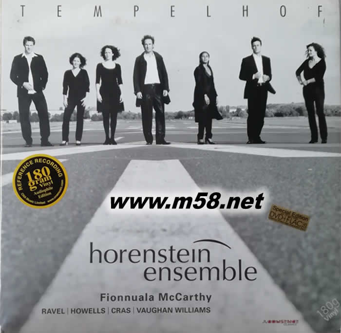 霍倫斯坦合奏 Horenstein Ensemble - Tempelhof 黑膠專輯正面圖片
