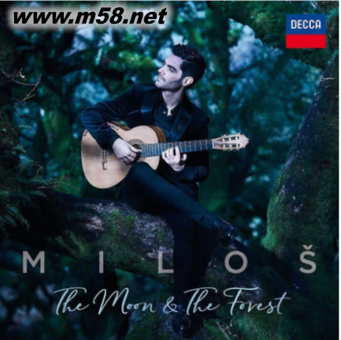 The Moon & the Forest 月亮與森林專輯正面圖片