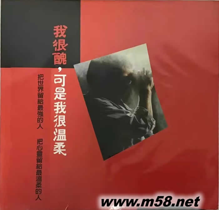 我很丑可是我很溫柔 黑膠 限量版專輯正面圖片