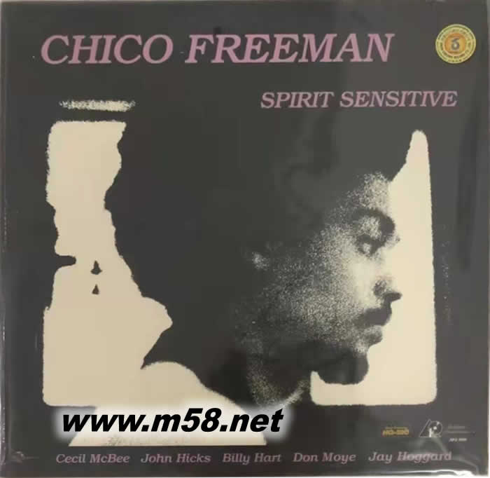 敏銳 SPIRIT SENSITIVE(薩克斯與低音大提琴) 黑膠專輯正面圖片