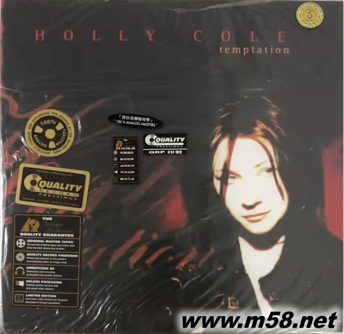 誘惑 TEMPTATION 180g 33RPM LP 雙黑膠專輯正面圖片