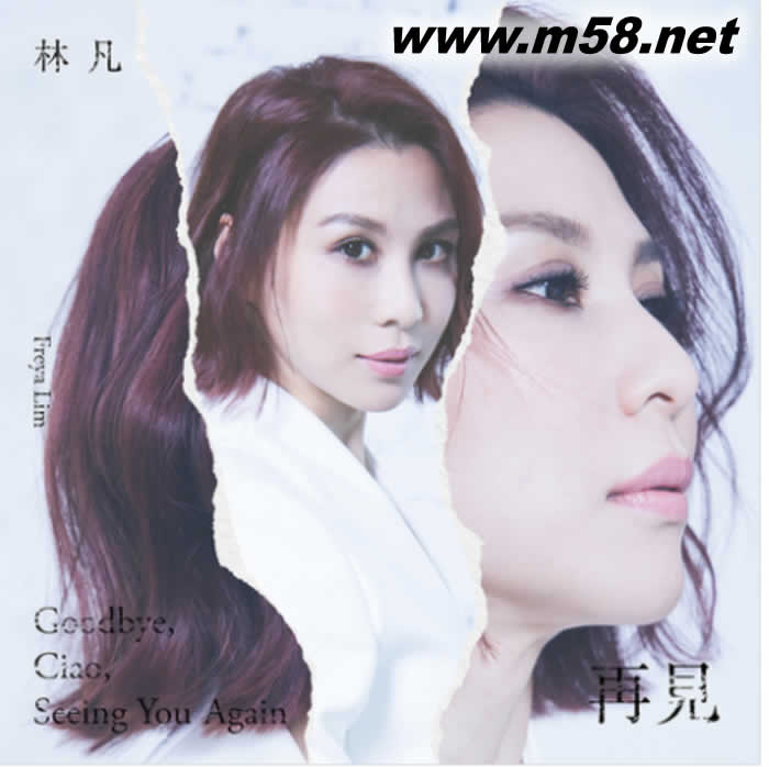 Goodbye, Ciao, Seeing You Again 再見專輯正面圖片