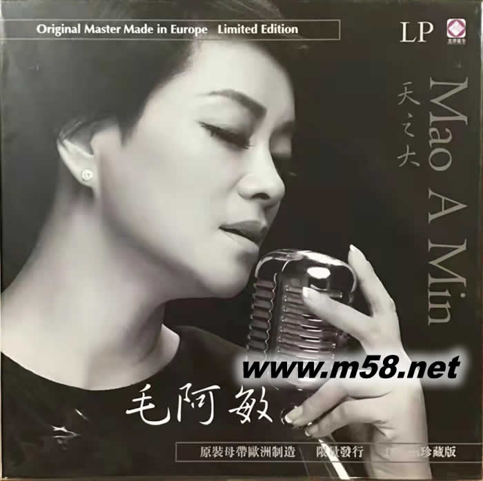 毛阿敏 天之大 黑膠專輯正面圖片