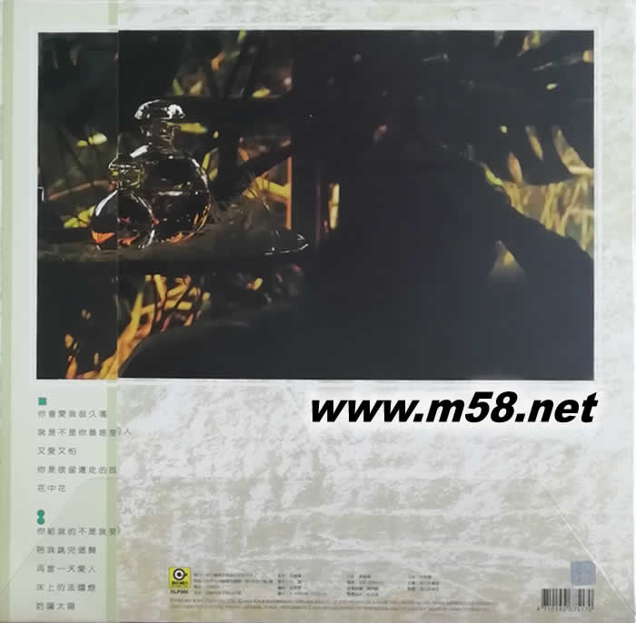 我是不是你最疼愛的人 黑膠專輯背面圖片