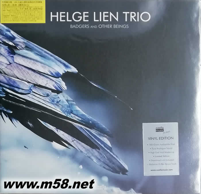 獾與眾生 爵士鋼琴三重奏 - Badgers & Other Beings (鋼琴、低音大提琴、鼓 ) 180g 33RPM LP 黑膠專輯正面圖片