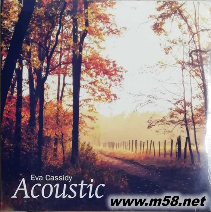 Acoustic 民謠20首 雙黑膠專輯正面圖片