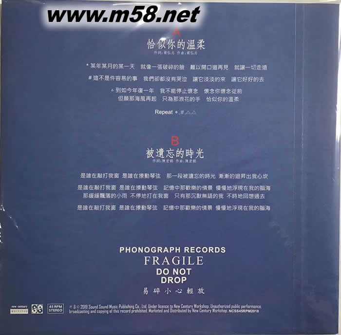 蔡琴精選 SPECIAL DJ COPY 恰似你的溫柔 45轉 雙黑膠專輯背面圖片