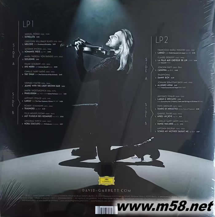 ICONIC 小提琴的標志 雙黑膠專輯背面圖片