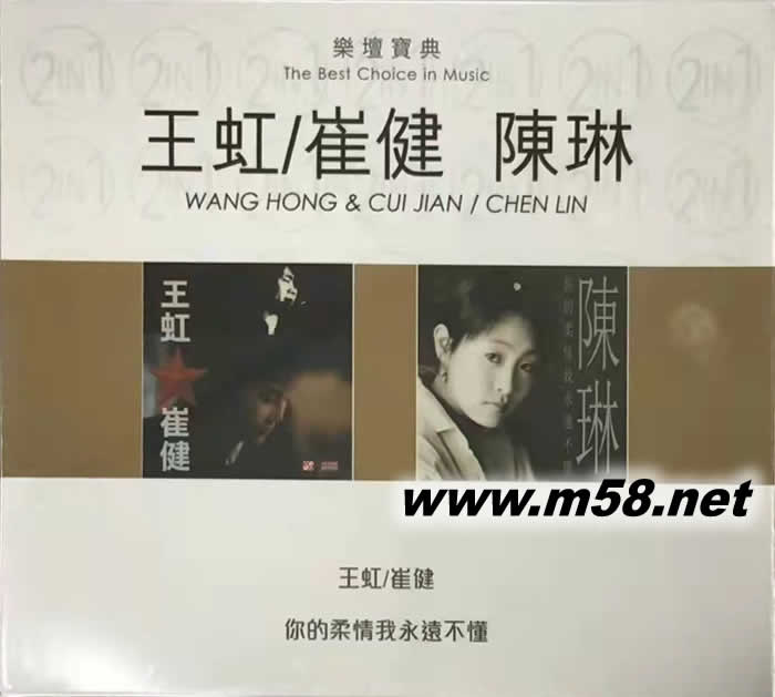 樂壇寶典 王虹 崔健 陳琳 你的柔情我永遠(yuǎn)不懂 2 IN 1 雙CD專輯正面圖片