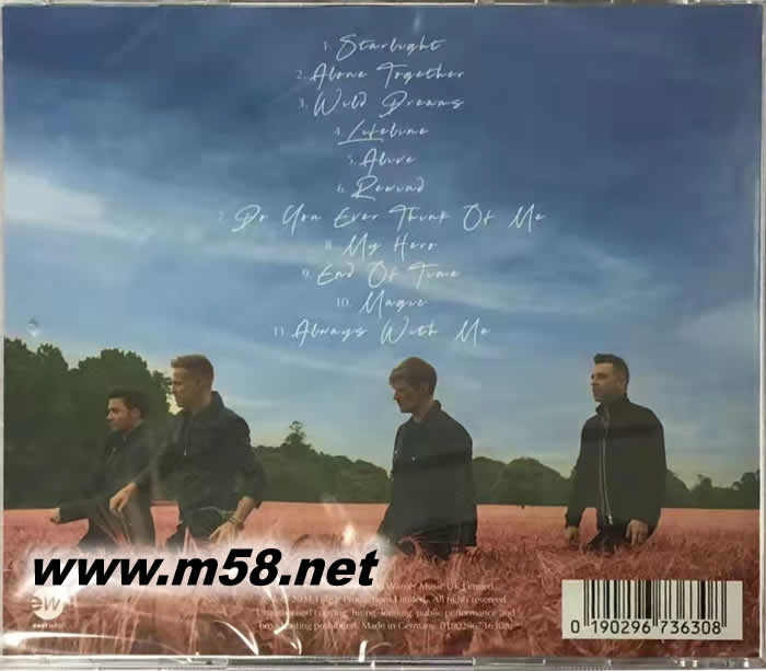 Wild Dreams 狂野之夢(11首歌)專輯背面圖片