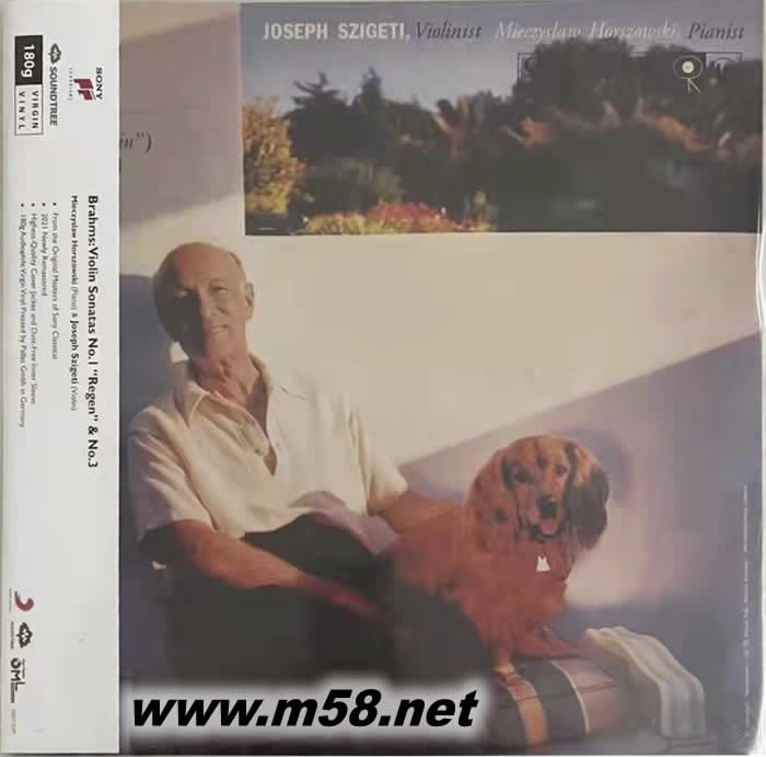 勃拉姆斯:小提琴奏鳴曲 VIOLINIST MIECZYSLAW 黑膠專輯正面圖片