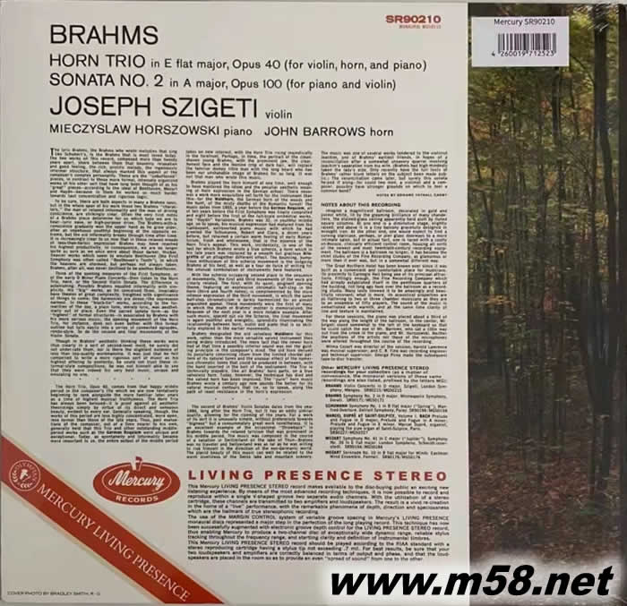 勃拉姆斯:小提琴奏鳴曲/圓號 鋼琴三重奏 BRAHMS HORN TRIO 黑膠專輯背面圖片