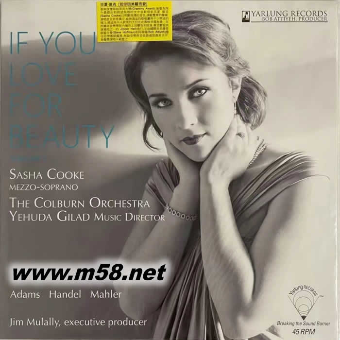 若你因美麗而愛 第1輯 If You Love For Beauty Vol.1 45轉(zhuǎn) 黑膠專輯正面圖片