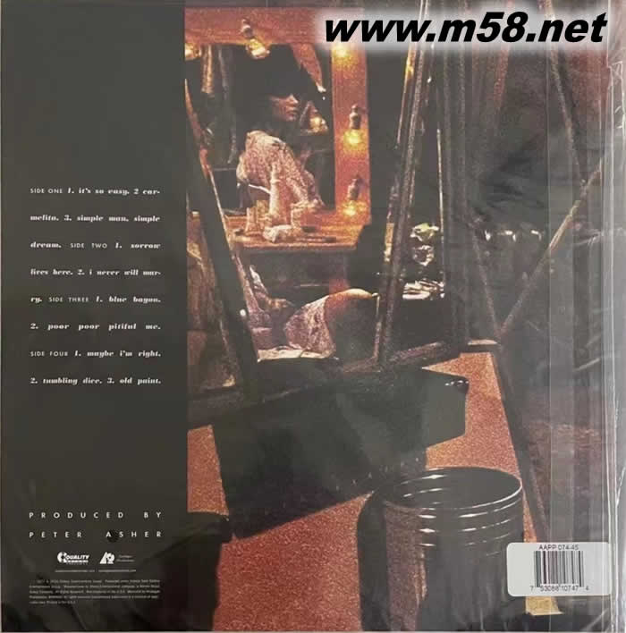 美國鄉村搖滾天后 SIMPLE DREAMS 45轉 雙黑膠專輯背面圖片