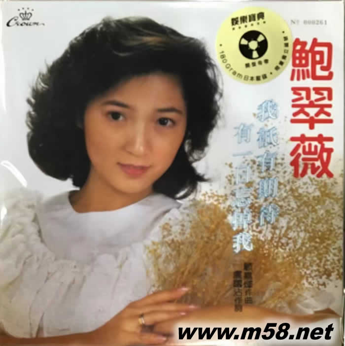 我只有期待 黑膠專輯正面圖片