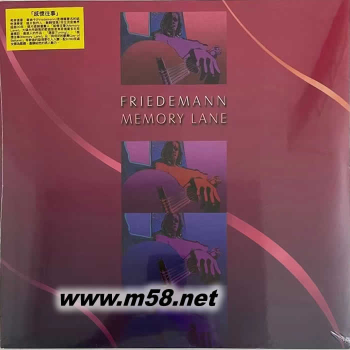 感懷往事 MEMORY LANE 黑膠專輯正面圖片