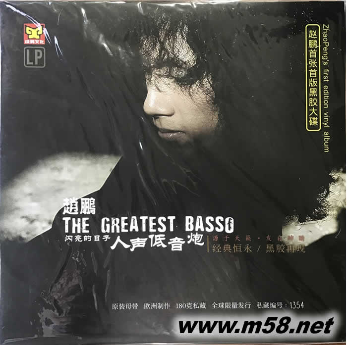 閃亮的日子 人聲低音炮 黑膠專輯正面圖片