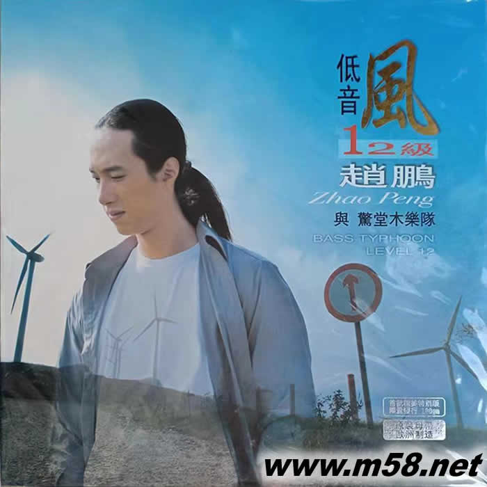 低音風12級 180g 33RPM LP 黑膠專輯正面圖片