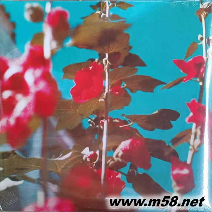 查德 羅森 BREATHE 呼吸 (爵士鋼琴)黑膠專輯正面圖片