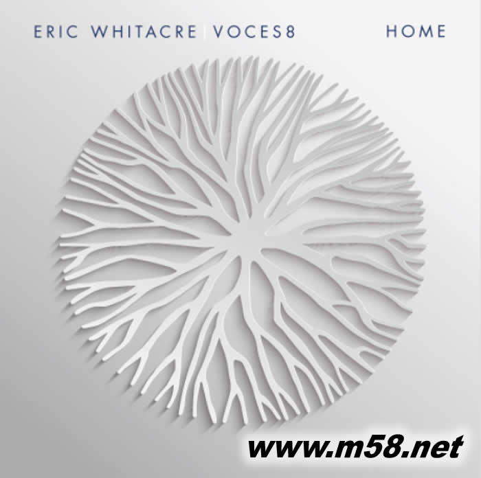 Home 家鄉 雙黑膠專輯正面圖片