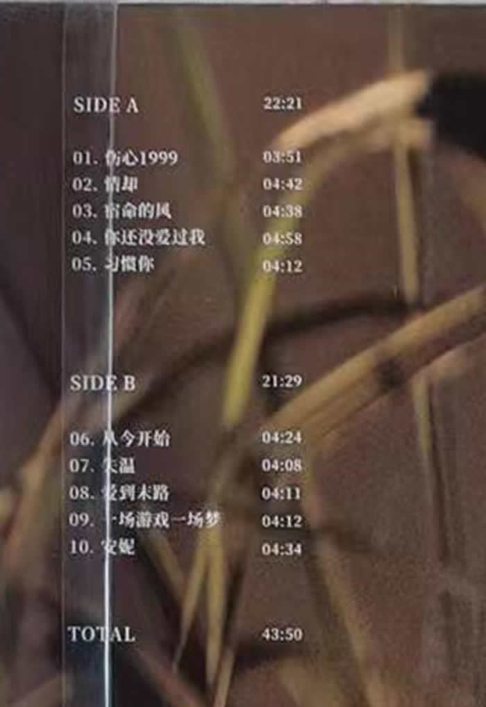 從今天開始 黑膠專輯曲目圖片