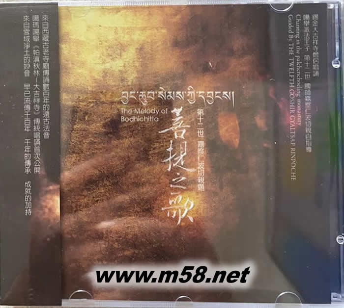 菩提之歌專輯正面圖片