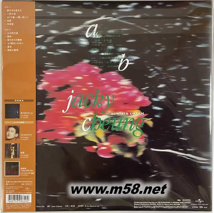 夢中的你 黑膠 2024版 限量版專輯背面圖片