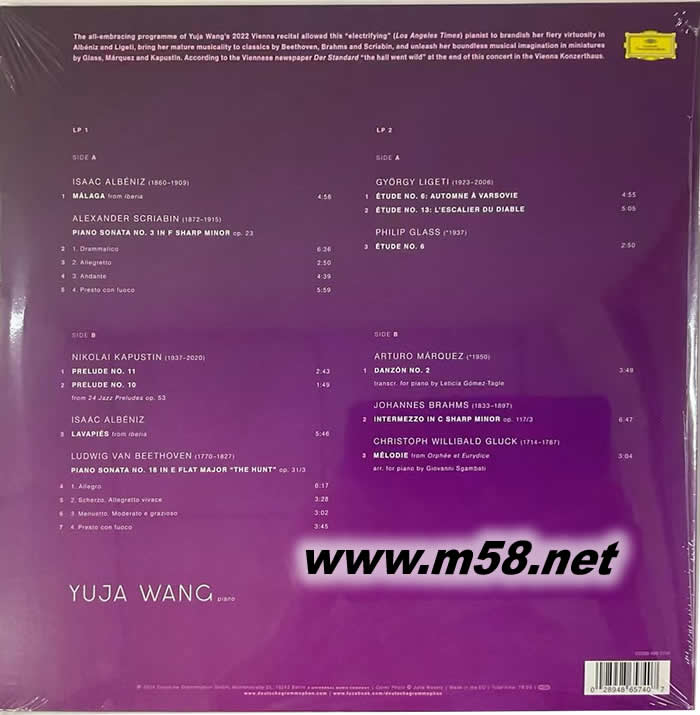 維也納獨(dú)奏會 THE VIENNA RECITAL 黑膠專輯背面圖片