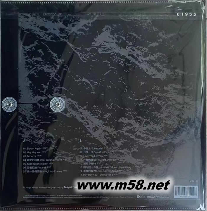 不夠善良的我們 黑膠 限量版專輯背面圖片