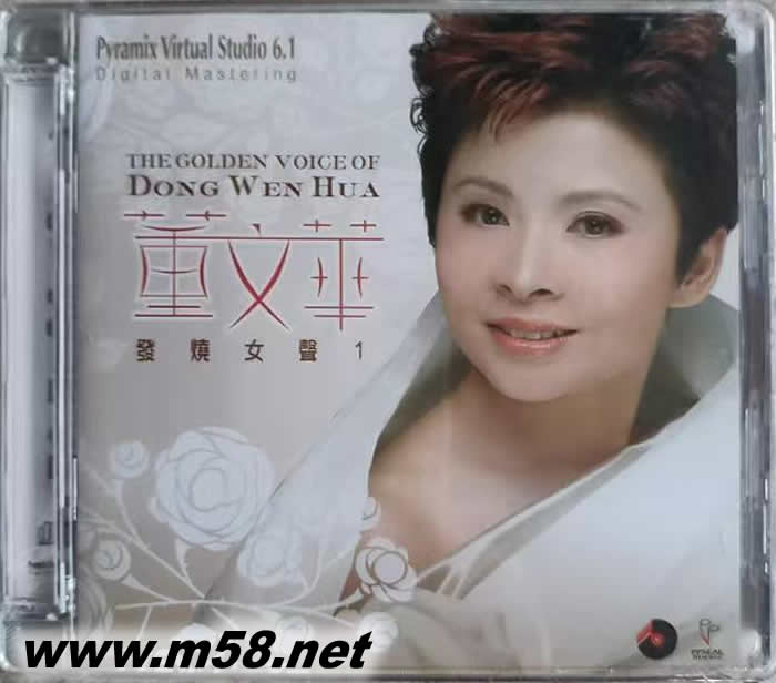 董文華-發燒女聲1專輯正面圖片