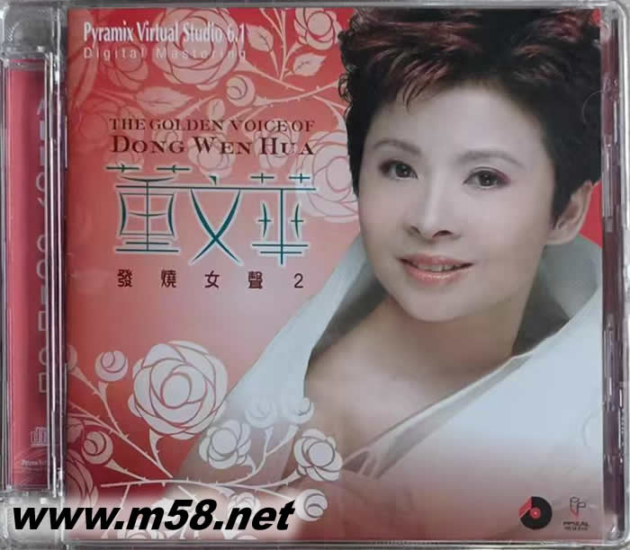 董文華-發(fā)燒女聲2專輯正面圖片