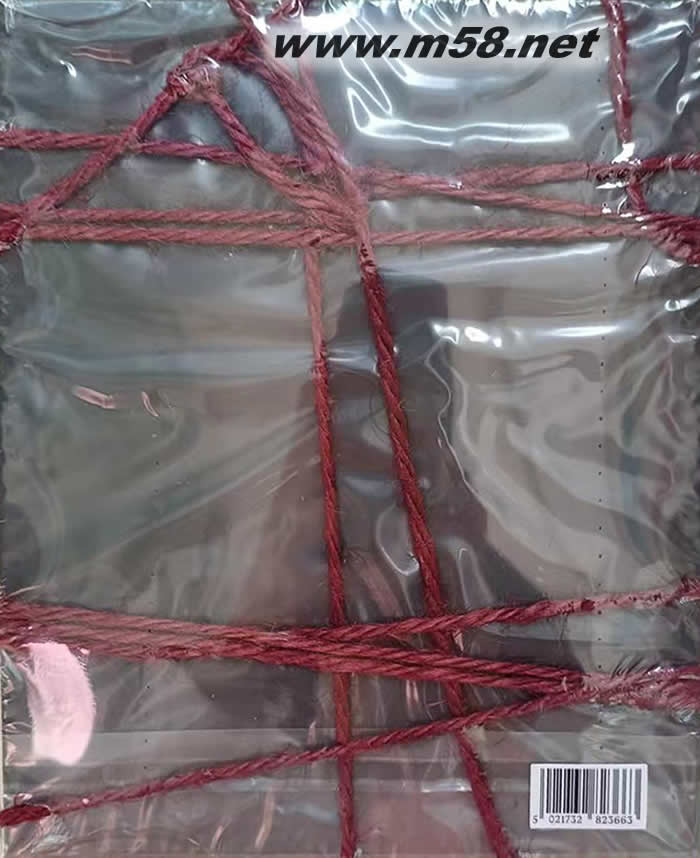 Pleasure 七罪花園版專輯背面圖片