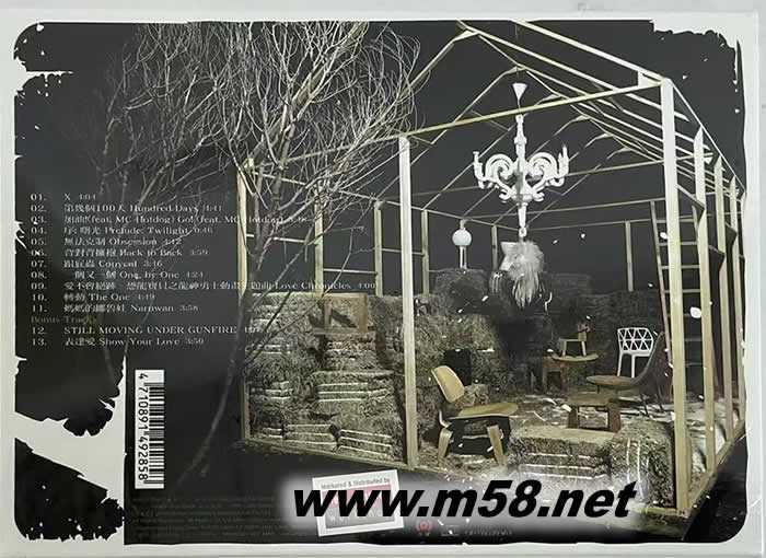 100 天專輯背面圖片