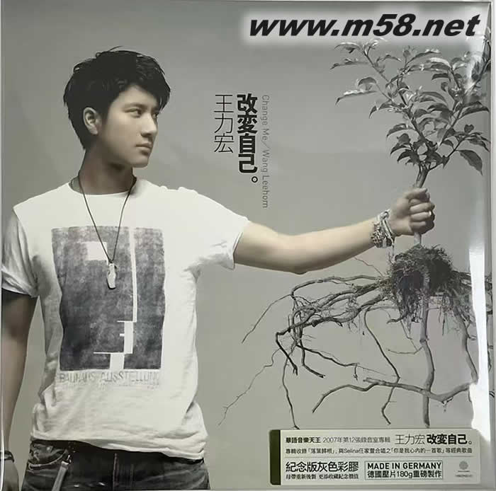 改變自己 灰色彩膠 黑膠專輯正面圖片